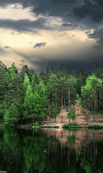 0e9688600859c9555c528e4ef96f124d.gif