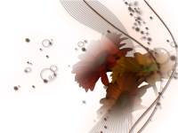 1.A.png