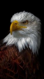 7c22c08399cbfd18f6c27e4c9ed56b46.jpg