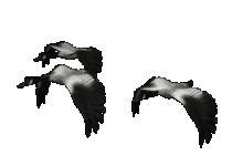 40ZgWJ.gif