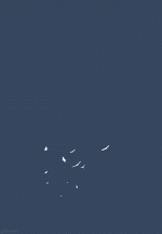 81dd33c5aec4ae08db5989019b660783.gif
