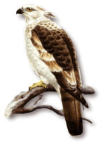 635c901a.png