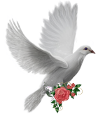 5098981_orig.png