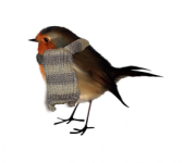 5997001.png