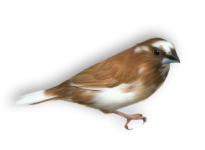 79551230_o.png