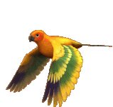 C0Gy3ToPvxsHBggqzJ1JbGwsXlQ.gif
