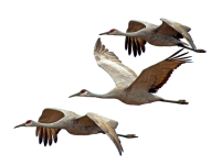cataclysmicly26.png