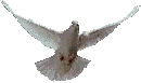 colomba.gif