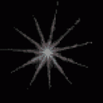 DefiniteEmptyFossa-max-1mb.gif