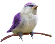 e8f1c8a3.gif