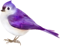 e56dd62e.png