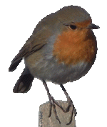 f8d1204e.gif