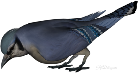 g2.png