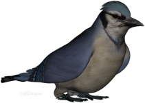 g3.png