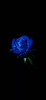 3fb66ffea806f8491062469813a499d4.jpg