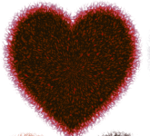 5 (2).png