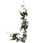 0_55984_9359d89_S.png