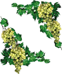 0_55988_d8526692_S.png