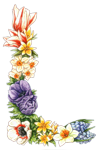 0_55989_a446d4f0_S.png