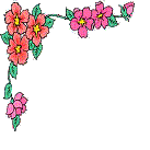 13js1.gif