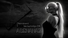 reklampolen_10603asenanaz.jpg