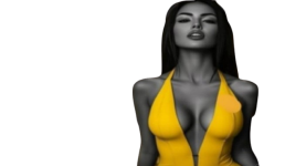 SR-removebg-preview.png