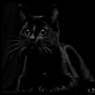 By Siyah
